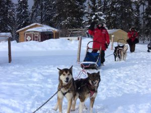 Nanette (foreground) on a dog sledding adventure in the Yukon, Canada, 2010. Photo courtesy of Nanette Gartrell and Dee Mosbacher.