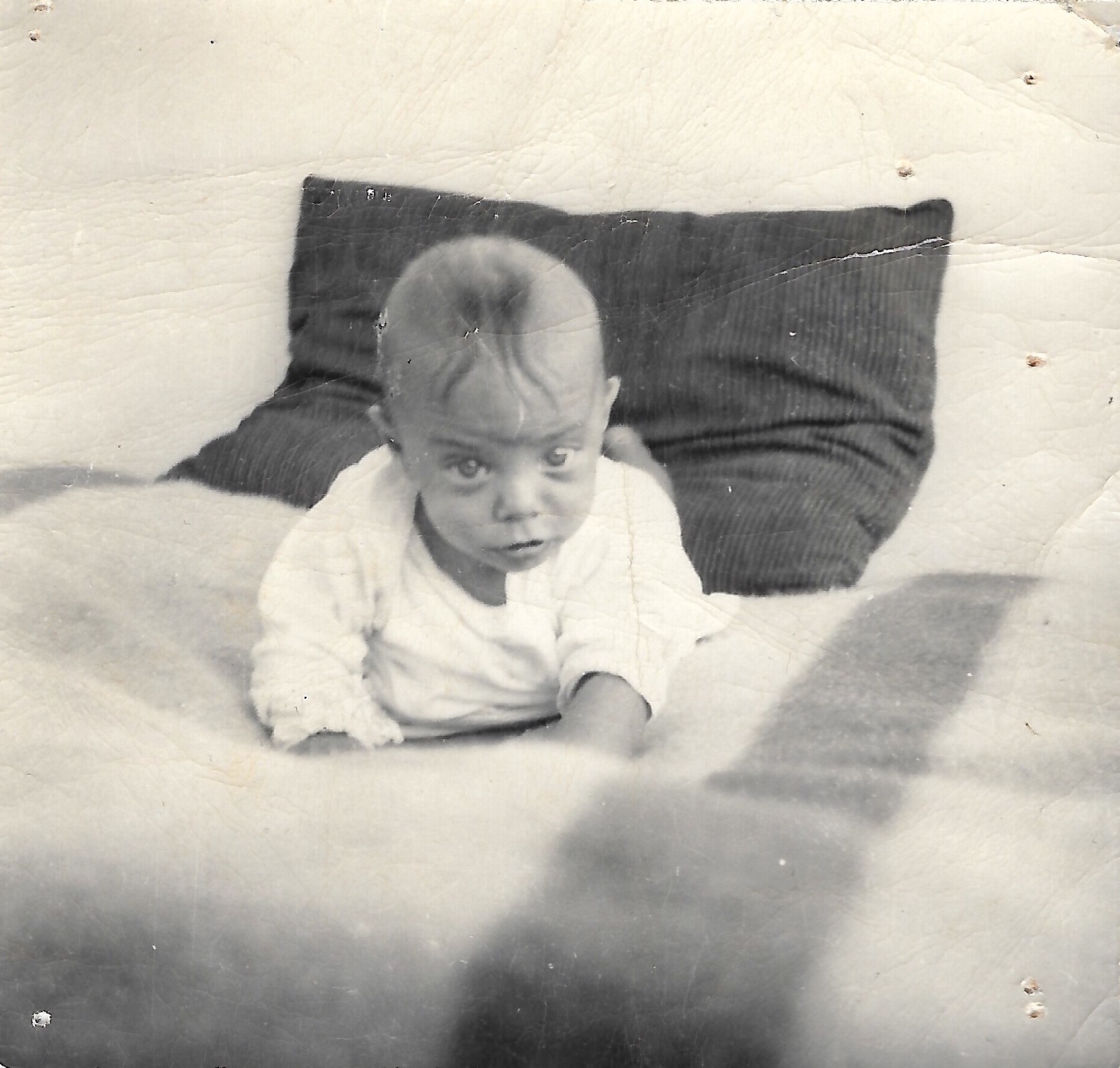 Rags as a baby in San Francisco, CA, 1948.