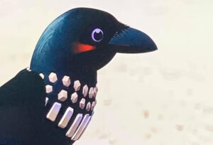 L. Frank voices Aawkut, a ghost in the form of Raven in episode four of “City of Ghosts” on Netflix, 2023. Photo courtesy of L. Frank.
